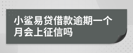 小鲨易贷借款逾期一个月会上征信吗