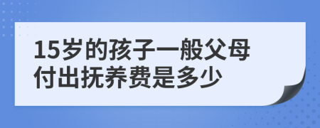 15岁的孩子一般父母付出抚养费是多少