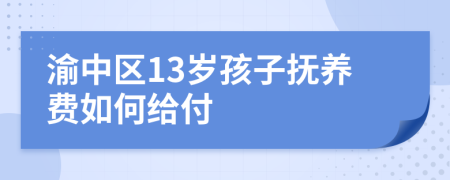 渝中区13岁孩子抚养费如何给付