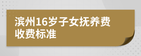 滨州16岁子女抚养费收费标准