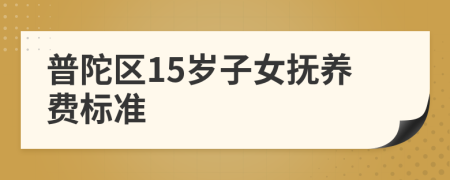 普陀区15岁子女抚养费标准