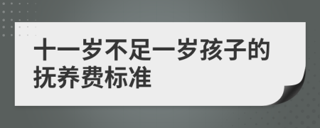 十一岁不足一岁孩子的抚养费标准