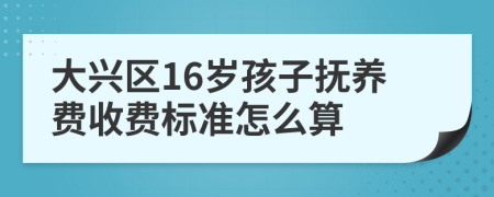 大兴区16岁孩子抚养费收费标准怎么算