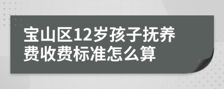 宝山区12岁孩子抚养费收费标准怎么算