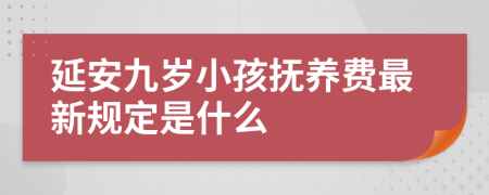 延安九岁小孩抚养费最新规定是什么