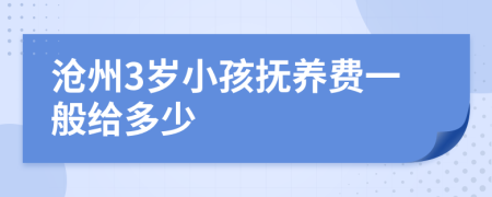 沧州3岁小孩抚养费一般给多少