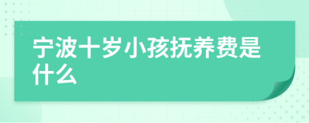 宁波十岁小孩抚养费是什么