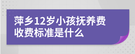 萍乡12岁小孩抚养费收费标准是什么