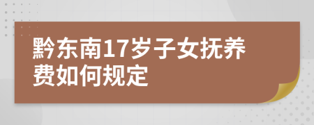 黔东南17岁子女抚养费如何规定