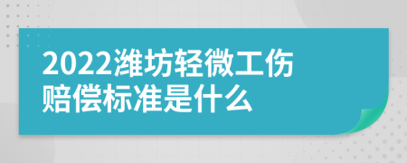 2022潍坊轻微工伤赔偿标准是什么