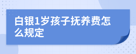 白银1岁孩子抚养费怎么规定