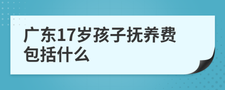 广东17岁孩子抚养费包括什么