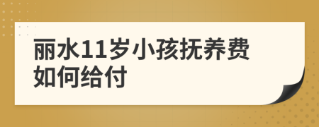 丽水11岁小孩抚养费如何给付