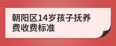 朝阳区14岁孩子抚养费收费标准