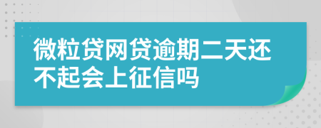 微粒贷网贷逾期二天还不起会上征信吗