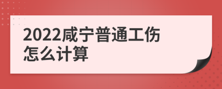 2022咸宁普通工伤怎么计算