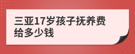 三亚17岁孩子抚养费给多少钱