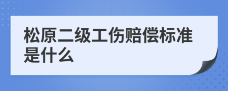 松原二级工伤赔偿标准是什么