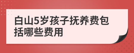 白山5岁孩子抚养费包括哪些费用