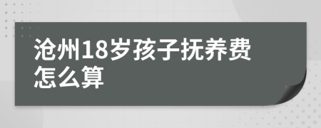 沧州18岁孩子抚养费怎么算