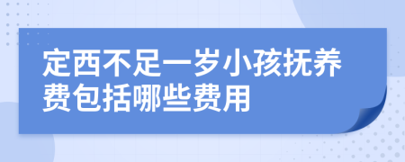 定西不足一岁小孩抚养费包括哪些费用