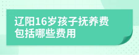 辽阳16岁孩子抚养费包括哪些费用