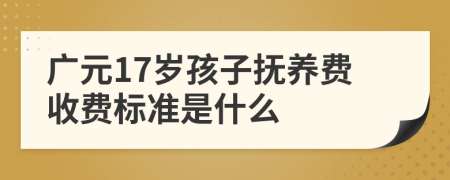 广元17岁孩子抚养费收费标准是什么