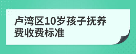 卢湾区10岁孩子抚养费收费标准