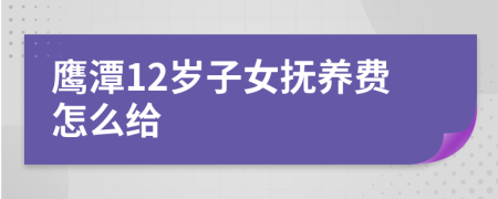 鹰潭12岁子女抚养费怎么给