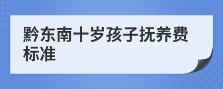 黔东南十岁孩子抚养费标准