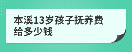 本溪13岁孩子抚养费给多少钱