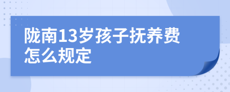 陇南13岁孩子抚养费怎么规定