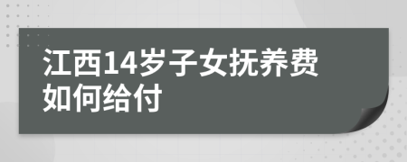 江西14岁子女抚养费如何给付