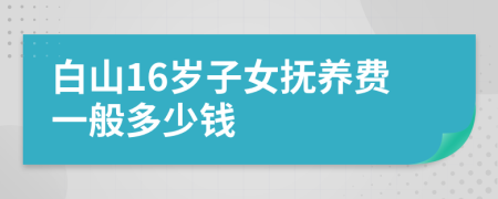 白山16岁子女抚养费一般多少钱