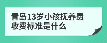 青岛13岁小孩抚养费收费标准是什么
