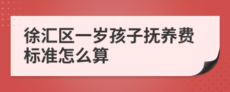 徐汇区一岁孩子抚养费标准怎么算