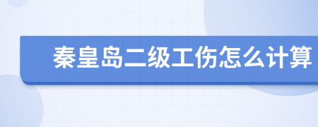 秦皇岛二级工伤怎么计算