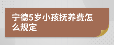 宁德5岁小孩抚养费怎么规定