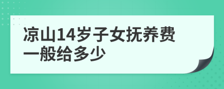 凉山14岁子女抚养费一般给多少