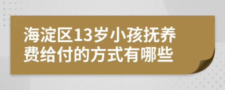 海淀区13岁小孩抚养费给付的方式有哪些