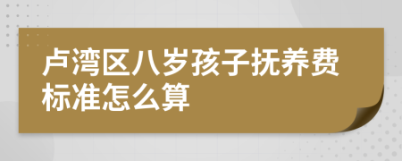 卢湾区八岁孩子抚养费标准怎么算