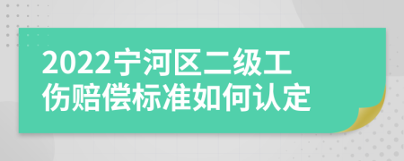 2022宁河区二级工伤赔偿标准如何认定