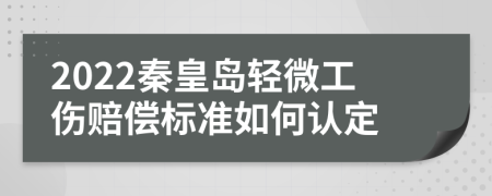 2022秦皇岛轻微工伤赔偿标准如何认定