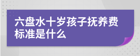 六盘水十岁孩子抚养费标准是什么