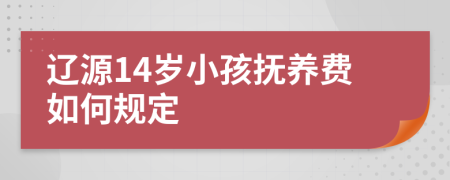 辽源14岁小孩抚养费如何规定