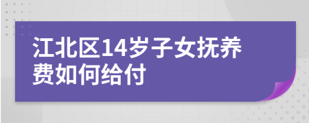 江北区14岁子女抚养费如何给付