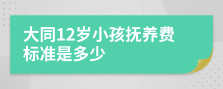 大同12岁小孩抚养费标准是多少