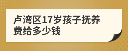 卢湾区17岁孩子抚养费给多少钱