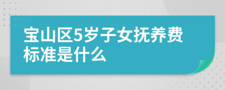 宝山区5岁子女抚养费标准是什么