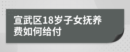 宣武区18岁子女抚养费如何给付